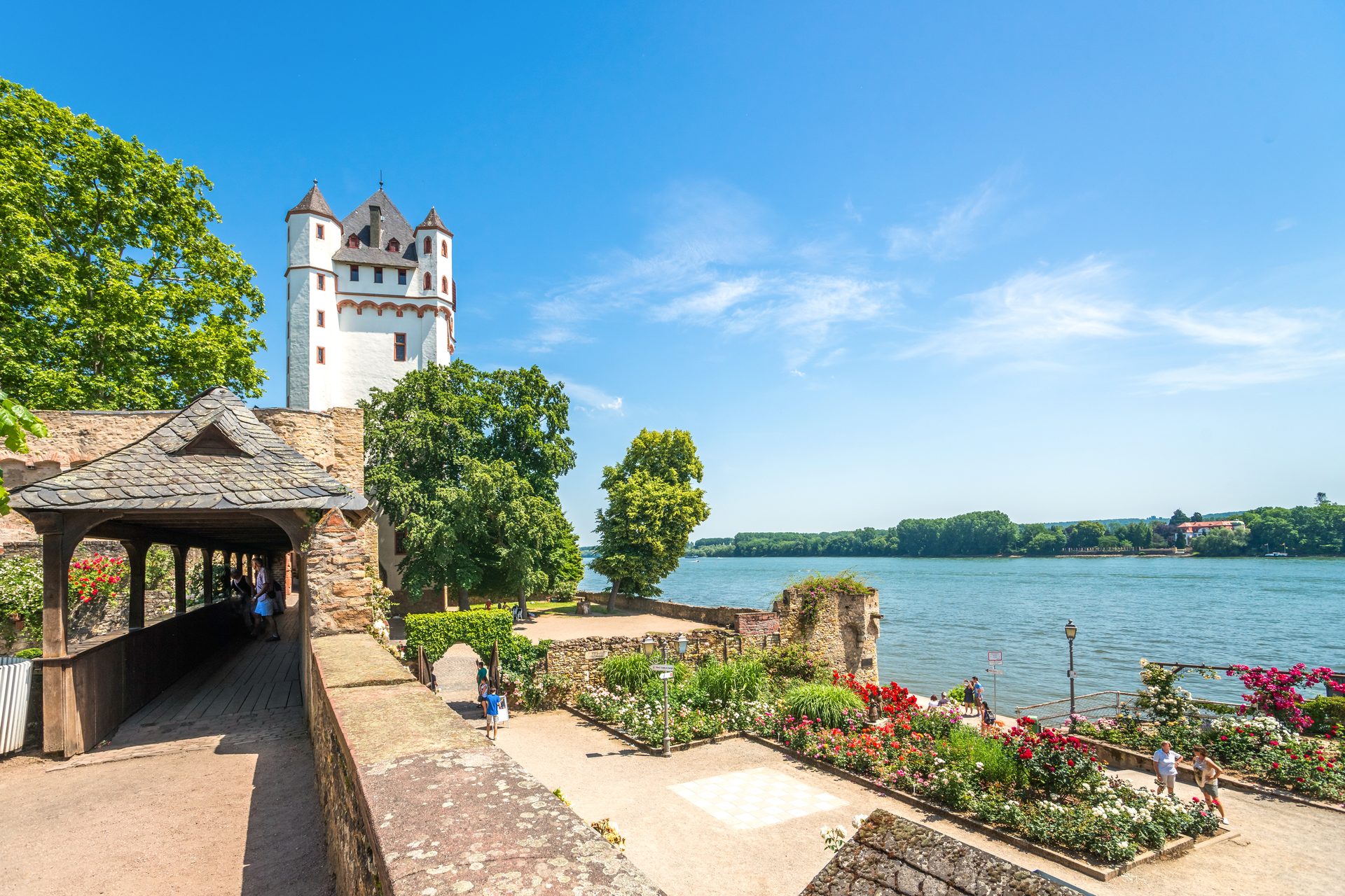 Eltville am Rhein – Heimat von Sanitätshaus Lay im Rheingau